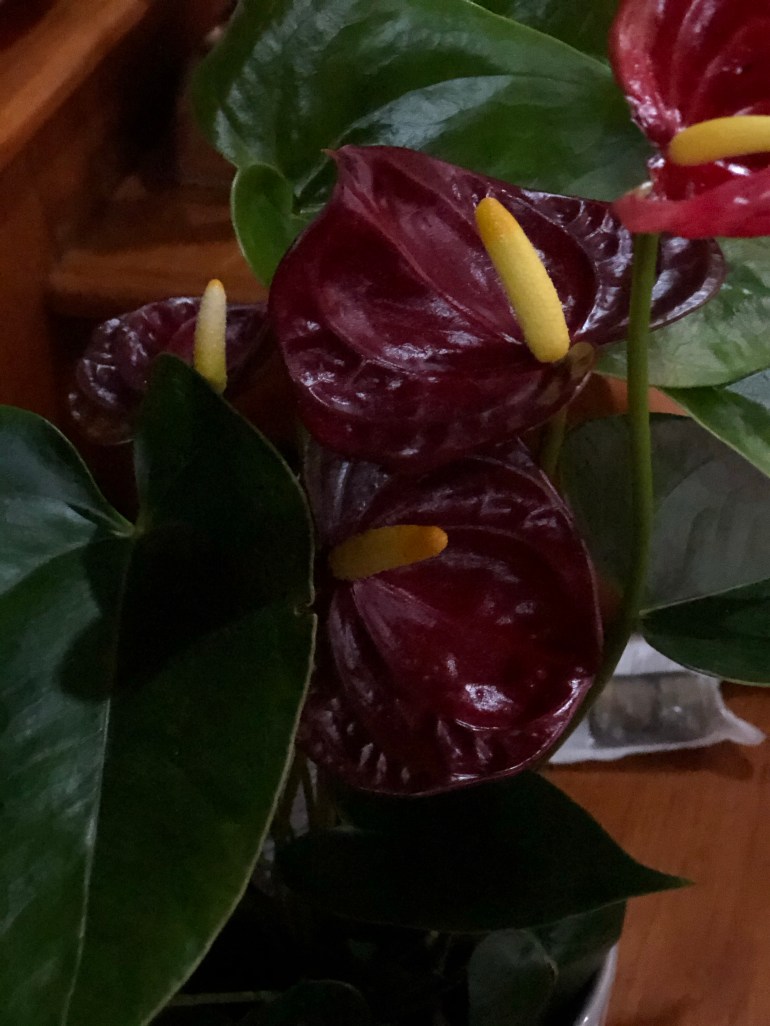 Day 28 – February 14th&nbsp;2021