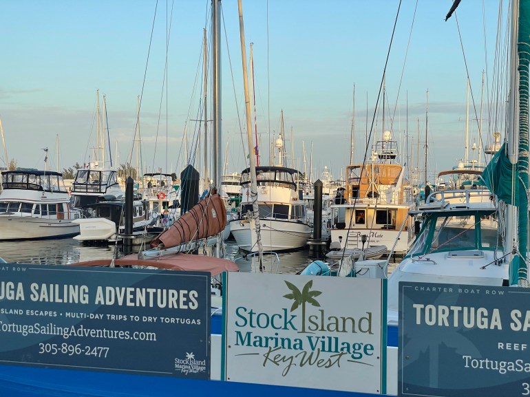 Day 21 – February 7th&nbsp;2021