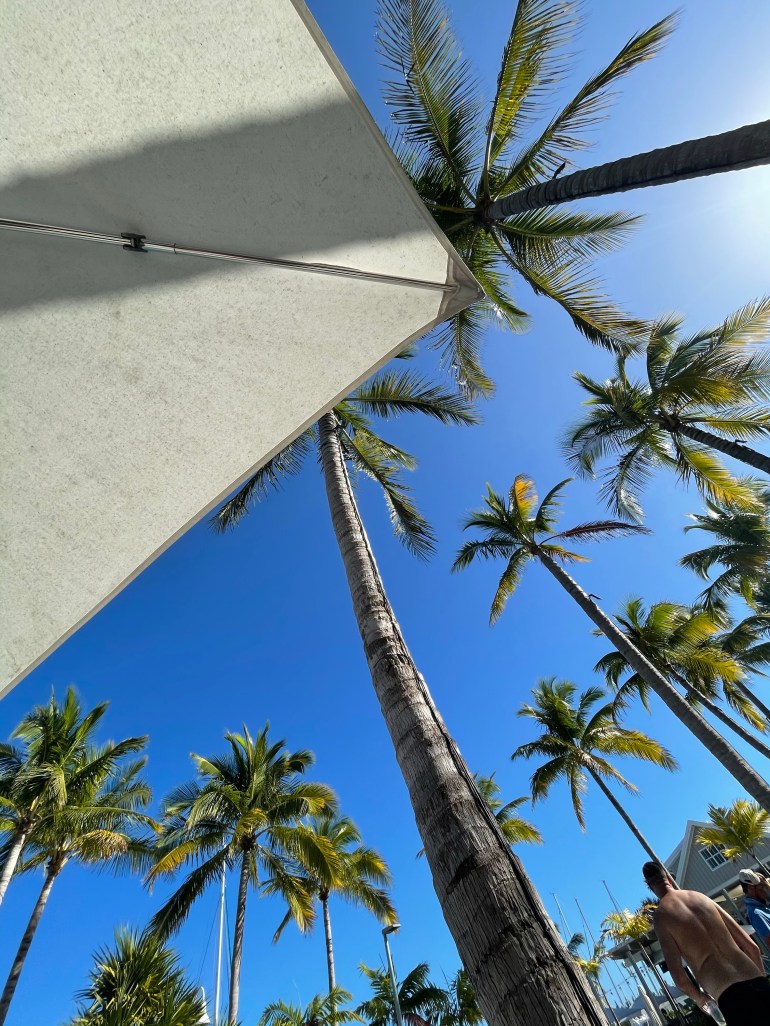 Day 27 – February 13th&nbsp;2021