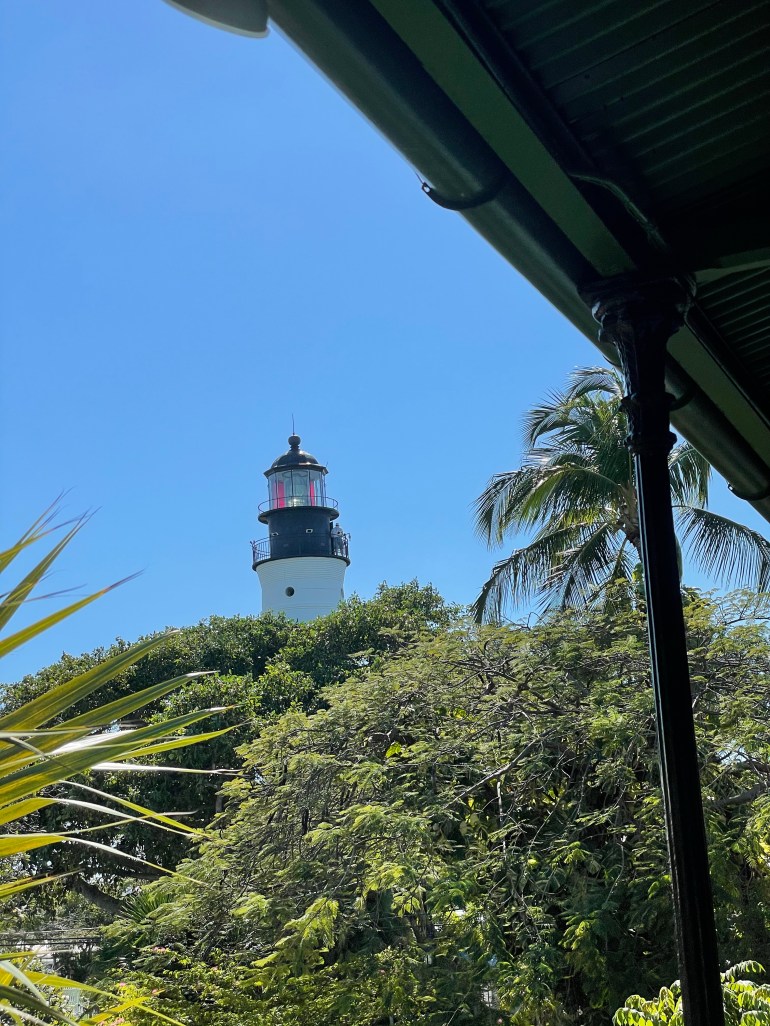 Day 34 – February 20th&nbsp;2021