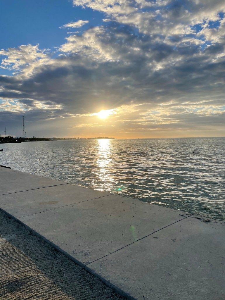 Day 42 – February 28th&nbsp;2021