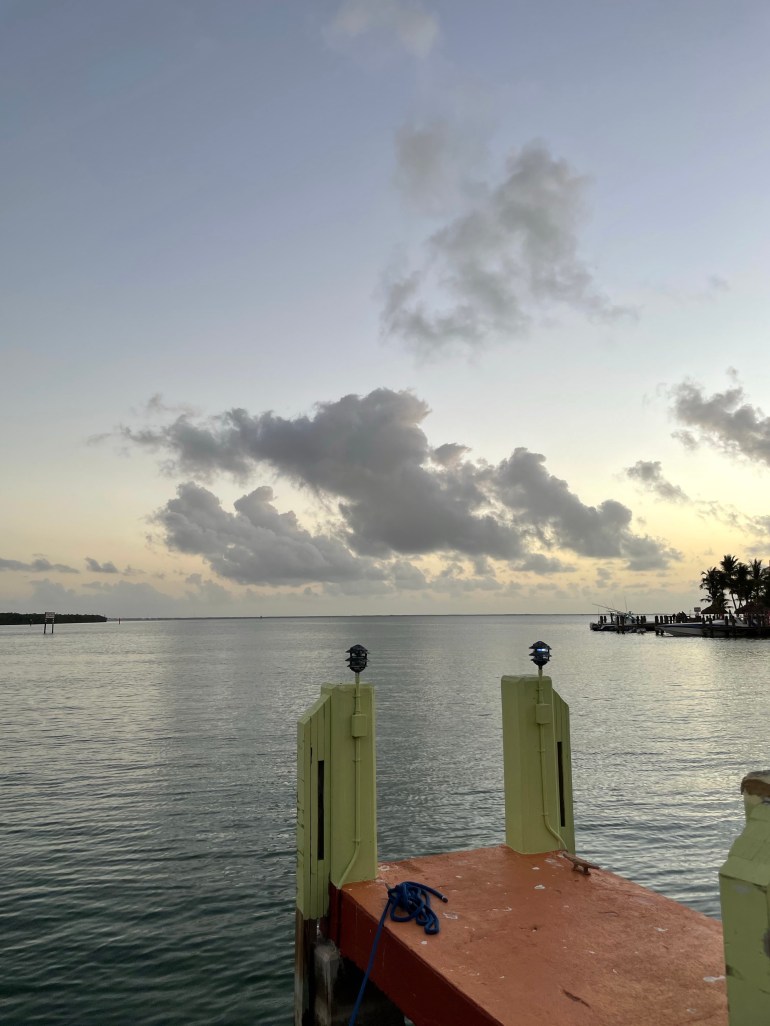 Day 43 – March 1st&nbsp;2021