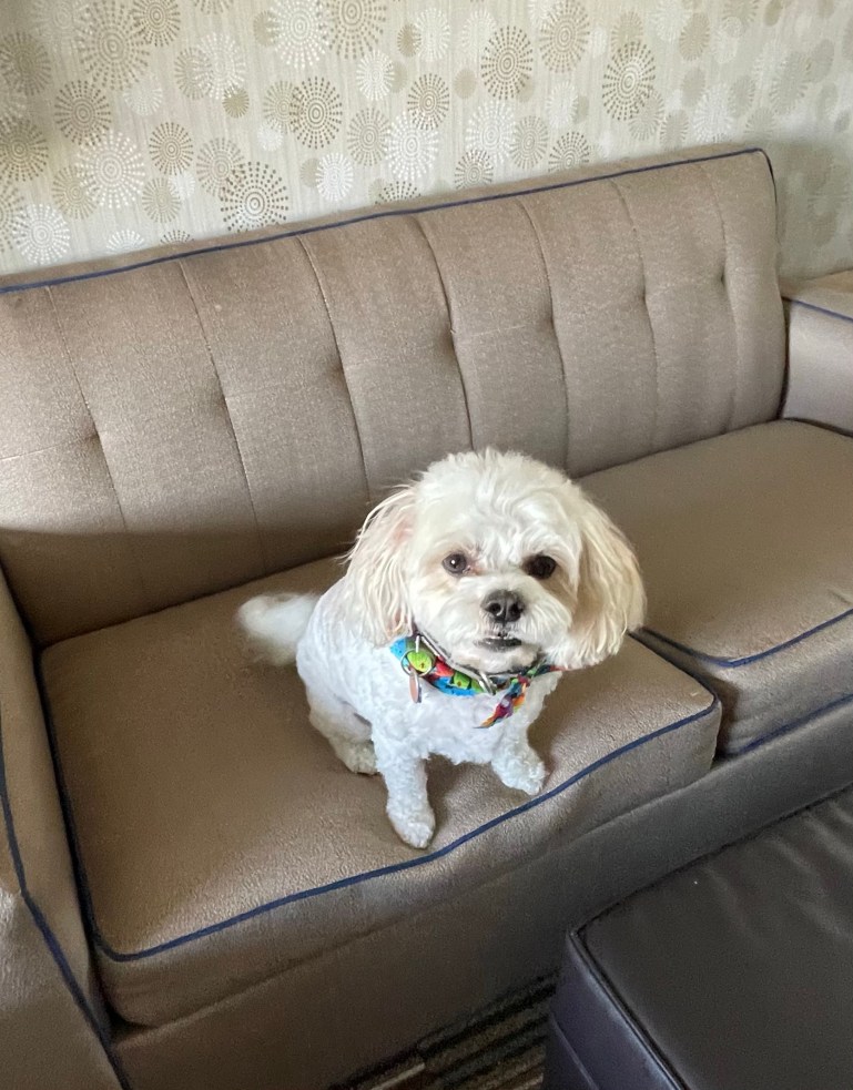 Day 50 – March 9th&nbsp;2021