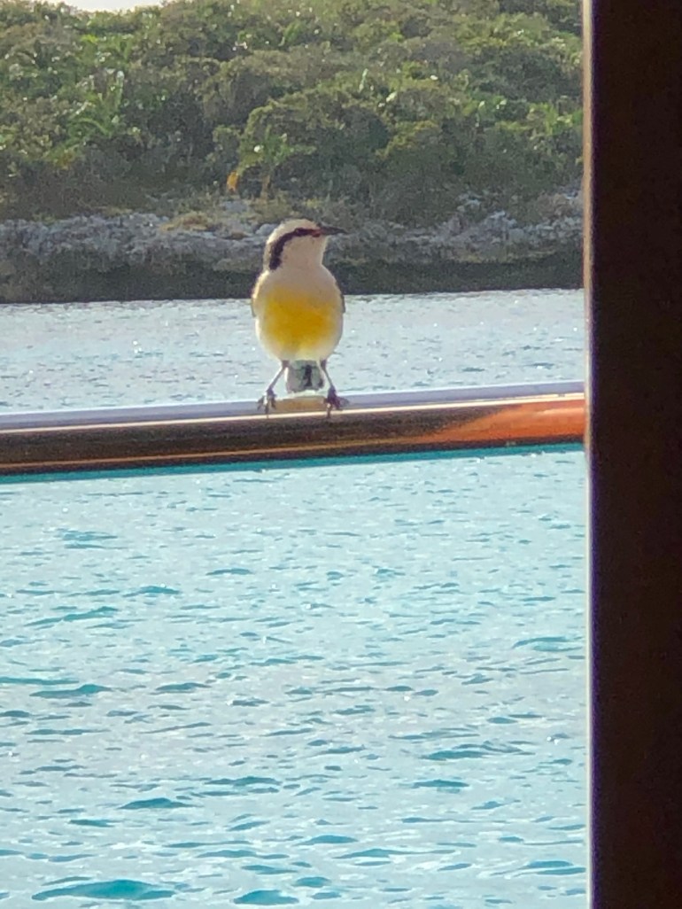 Day 60 – April 27th&nbsp;2021