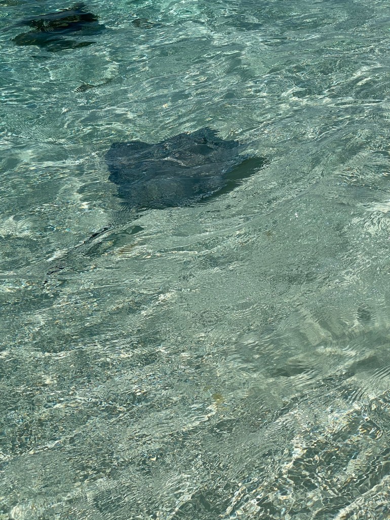 Day 64 – May 1st&nbsp;2021