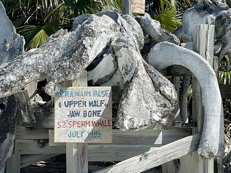 Day 67 – May 4th&nbsp;2021