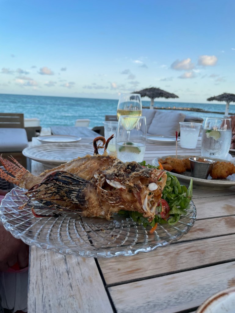 Day 72 – May 9th&nbsp;2021