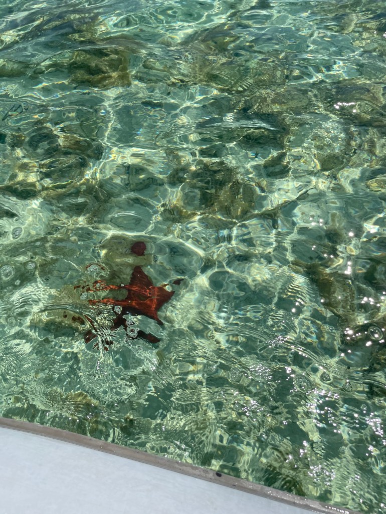 Day 92 – May 29th&nbsp;2021