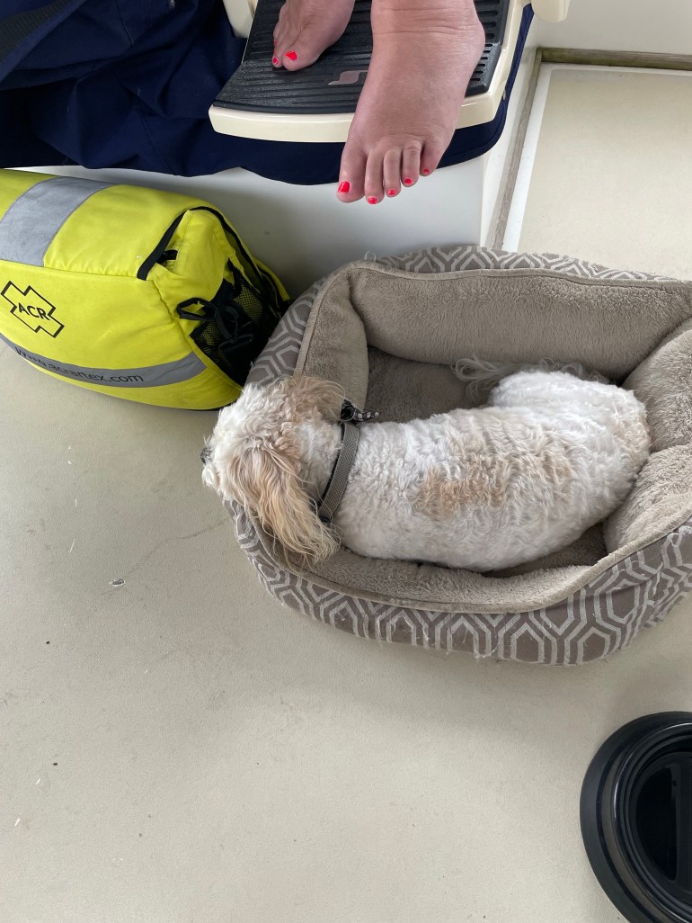 Day 97 – July 7th&nbsp;2021