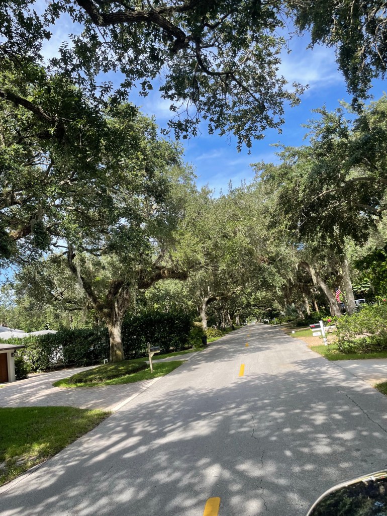 Day 102 – July 12th&nbsp;2021