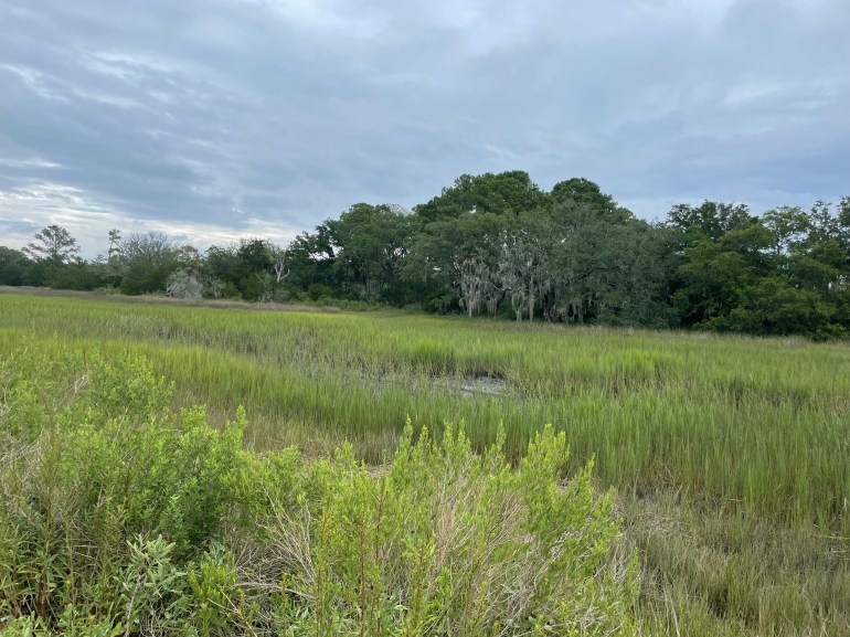 Day 122 – August 2nd&nbsp;2021