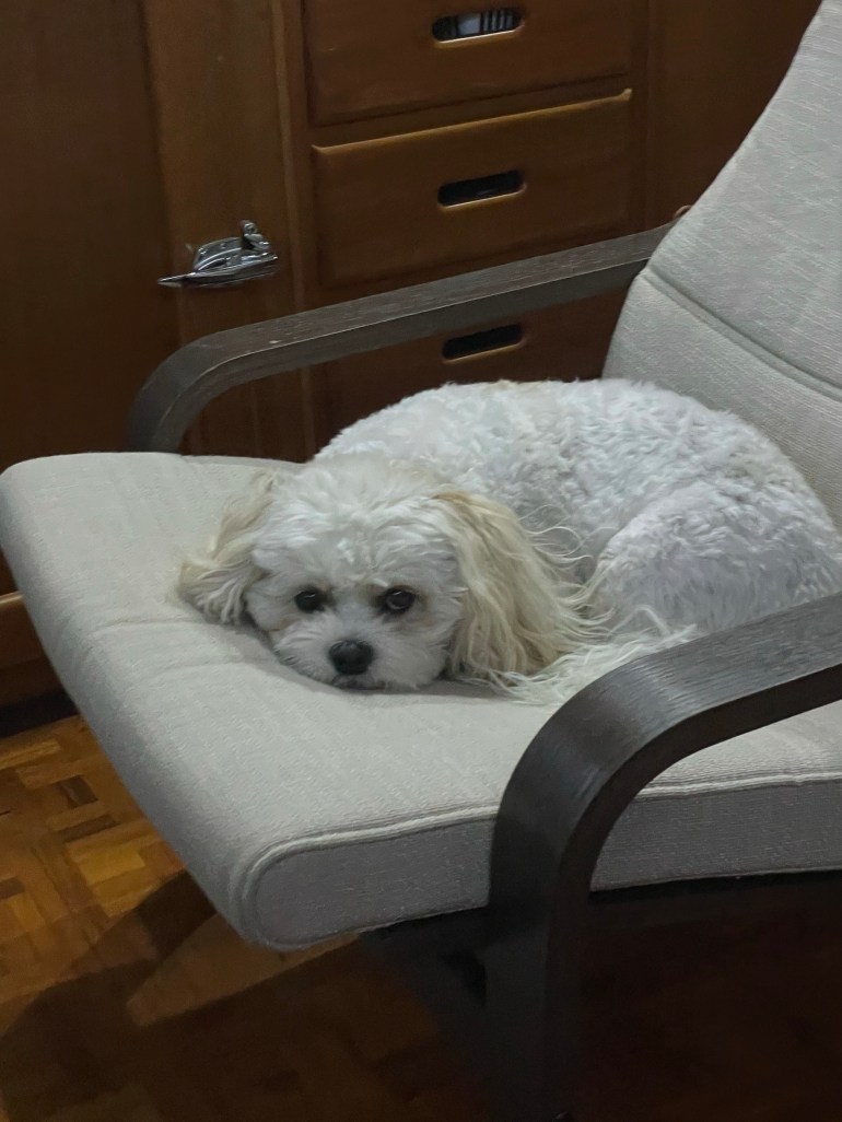 Day 141 to 149 – October 9th to 17th&nbsp;2021