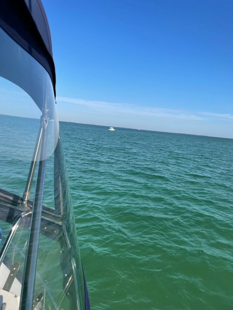 Day 158 – January 25th&nbsp;2022