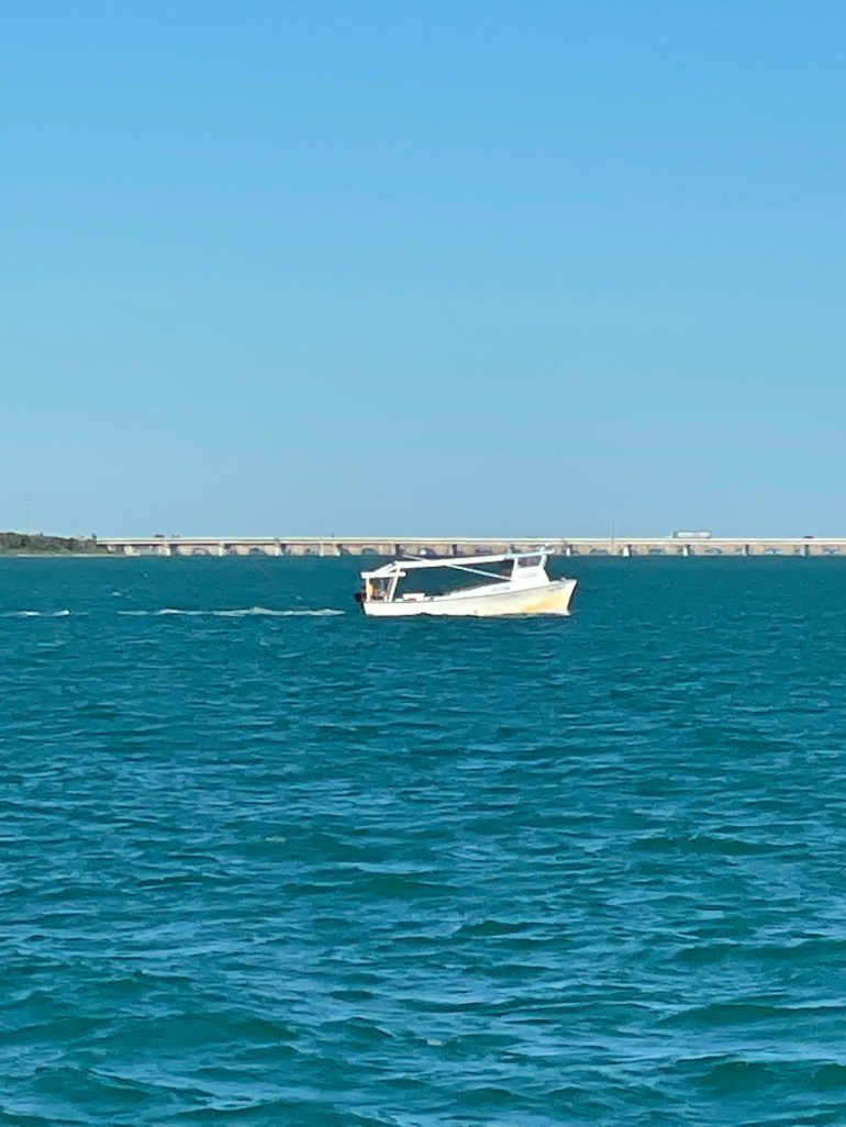 Day 164 – January 31st&nbsp;2022