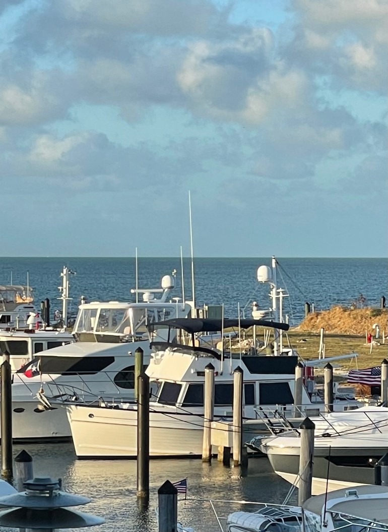 Day 208 – March 17th&nbsp;2022