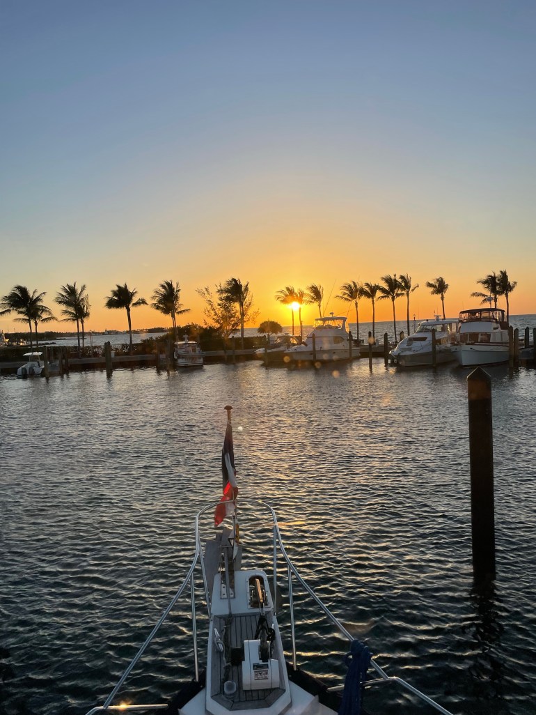Day 219 – March 27th&nbsp;2022