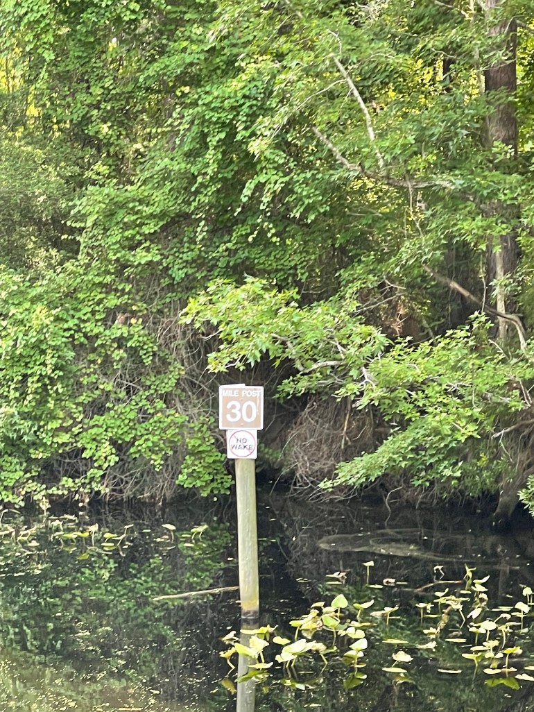 Day 310  – August 6th&nbsp;2022