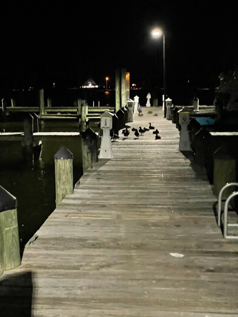 Day 345 & 346 – September 10th & 11th&nbsp;2022