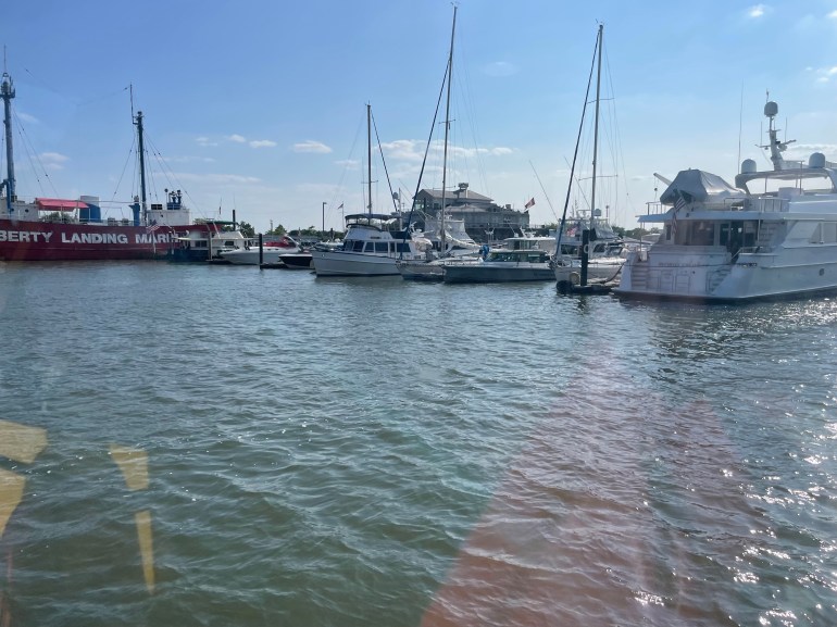 Day 355 – June 11th&nbsp;2023