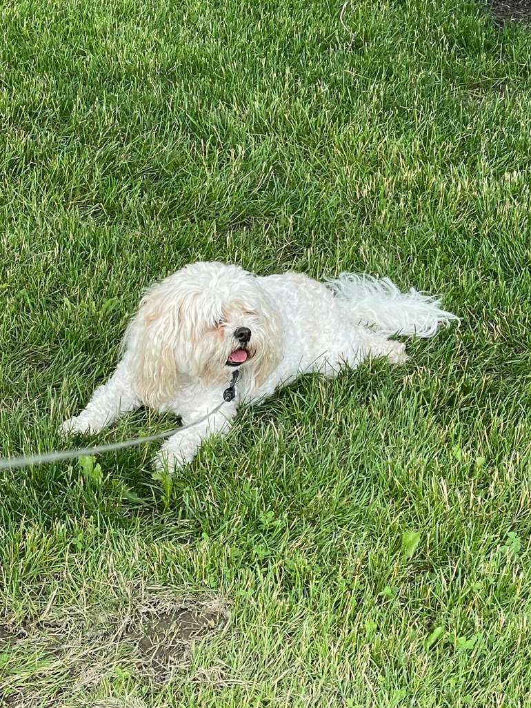 Day 375 – July 1st&nbsp;2023