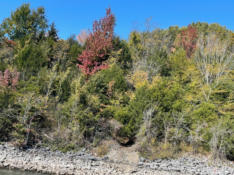 Day 450 – October 20th&nbsp;2023