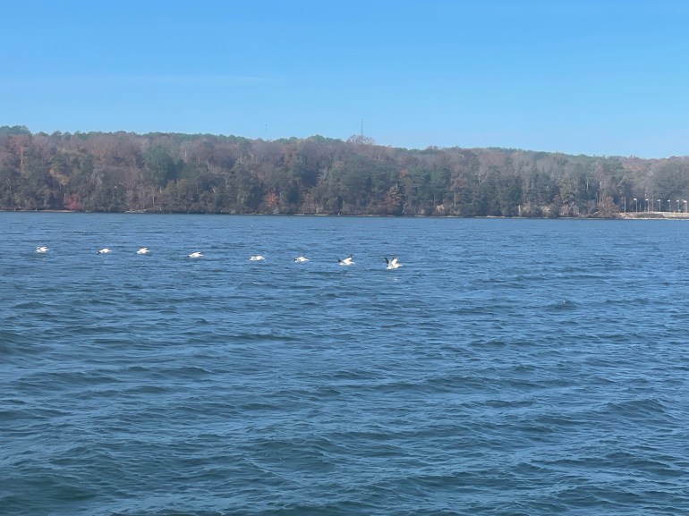 Day 472 – November 11th&nbsp;2023